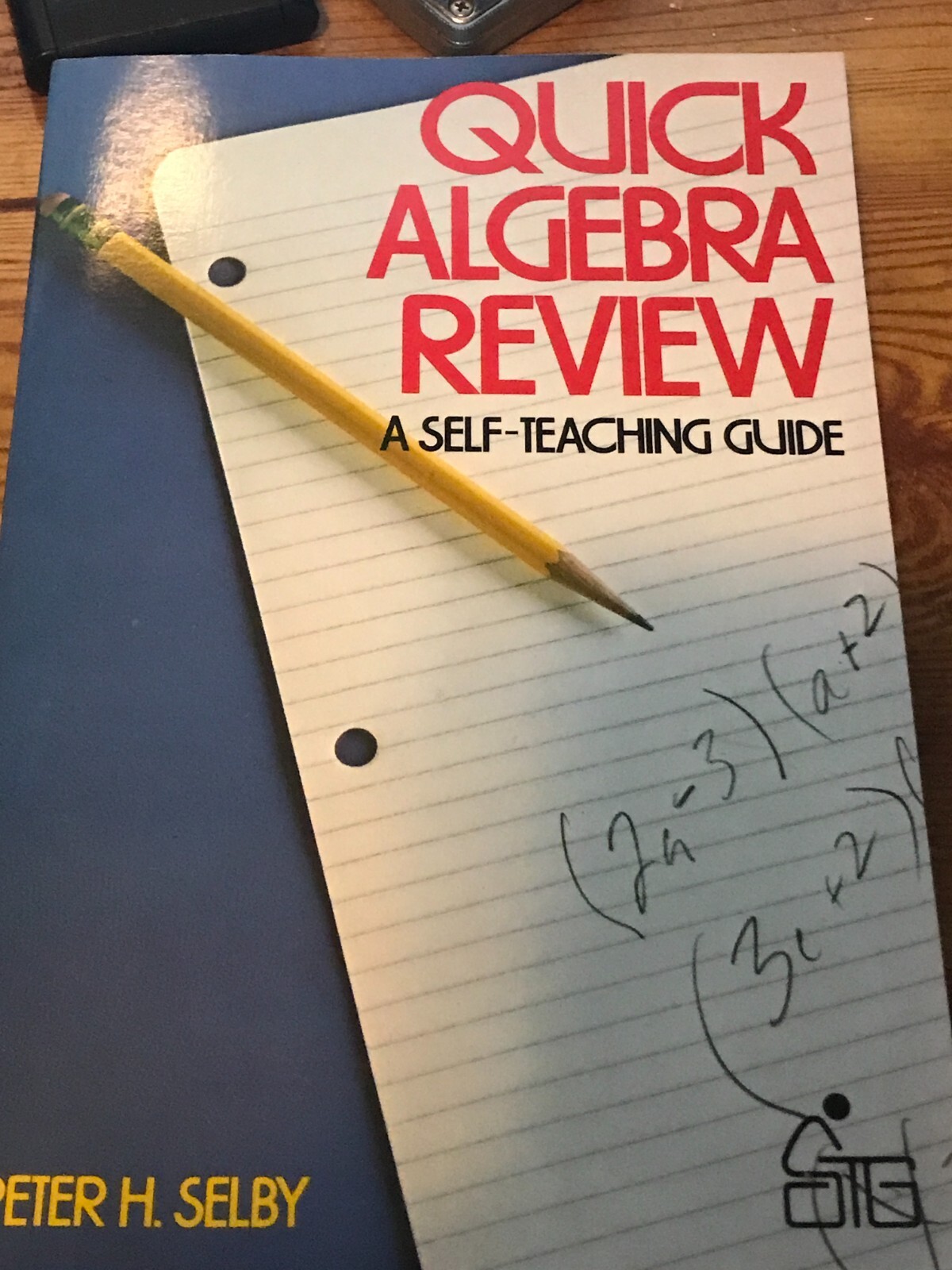 Quick Algebra Review STG 2e by Slavin, Steve; Selby, Peter H.