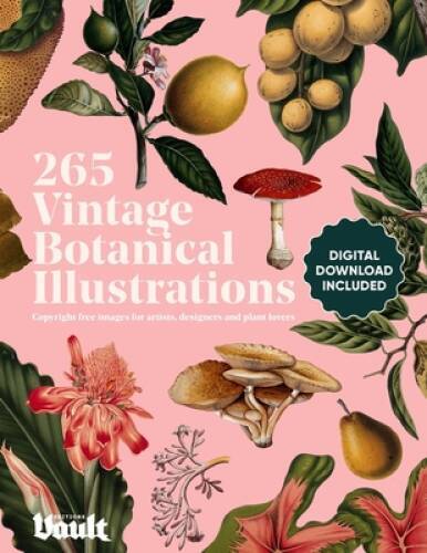 Vintage Botanical Illustration: Copyright-Free Images for Artists, Design – GOOD