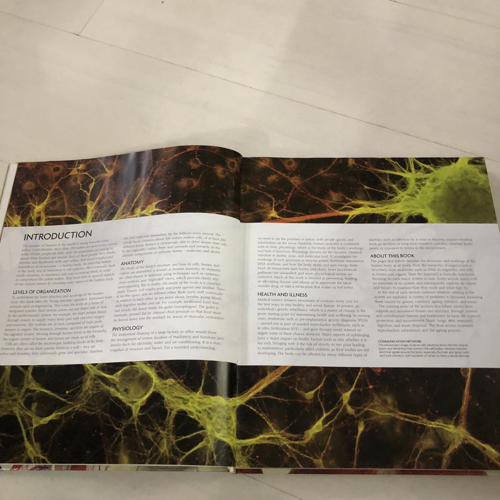 DK The Human Body Book With DVD Rom Structure, Function And Disorders students