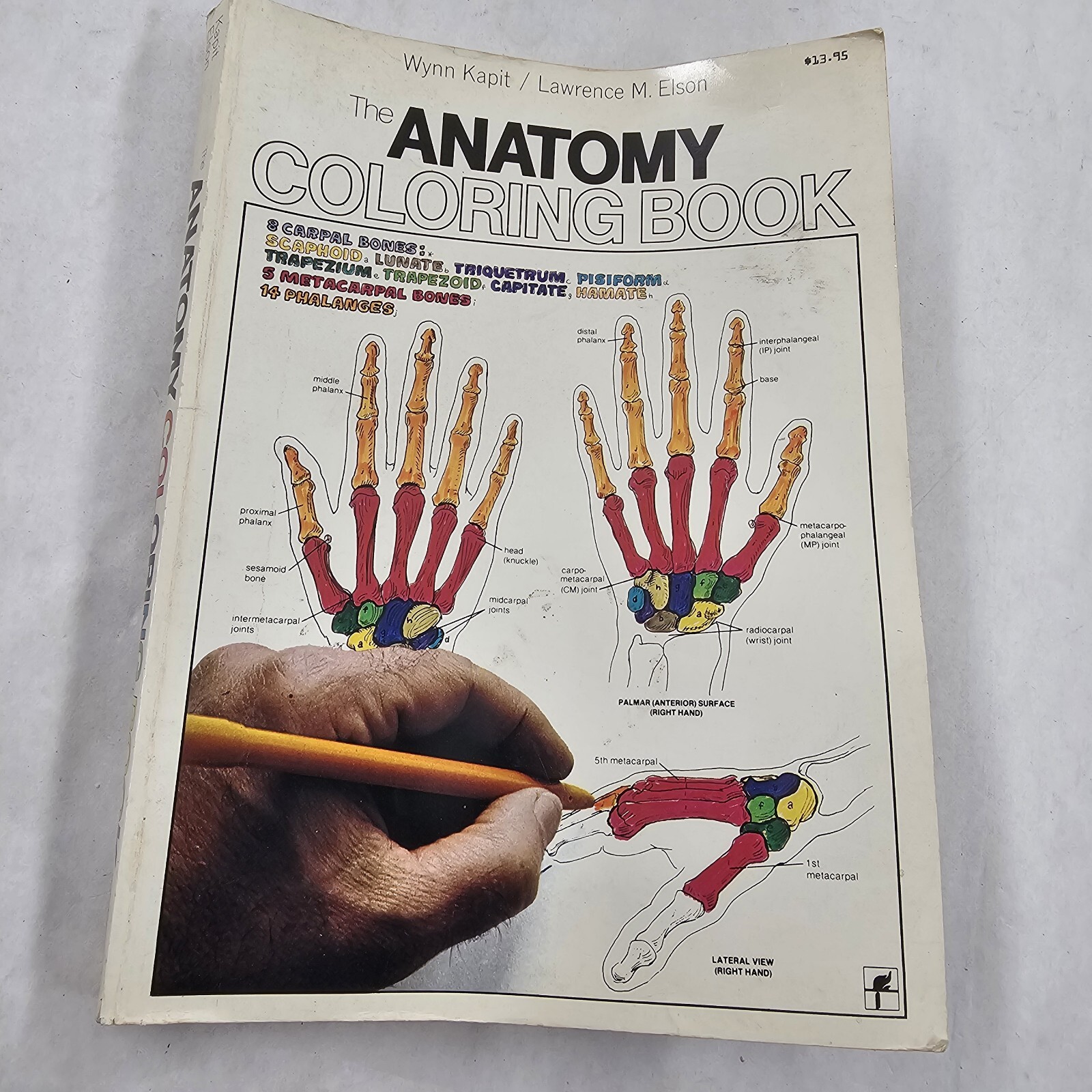 The Anatomy Coloring Book by Kapit, Wynn