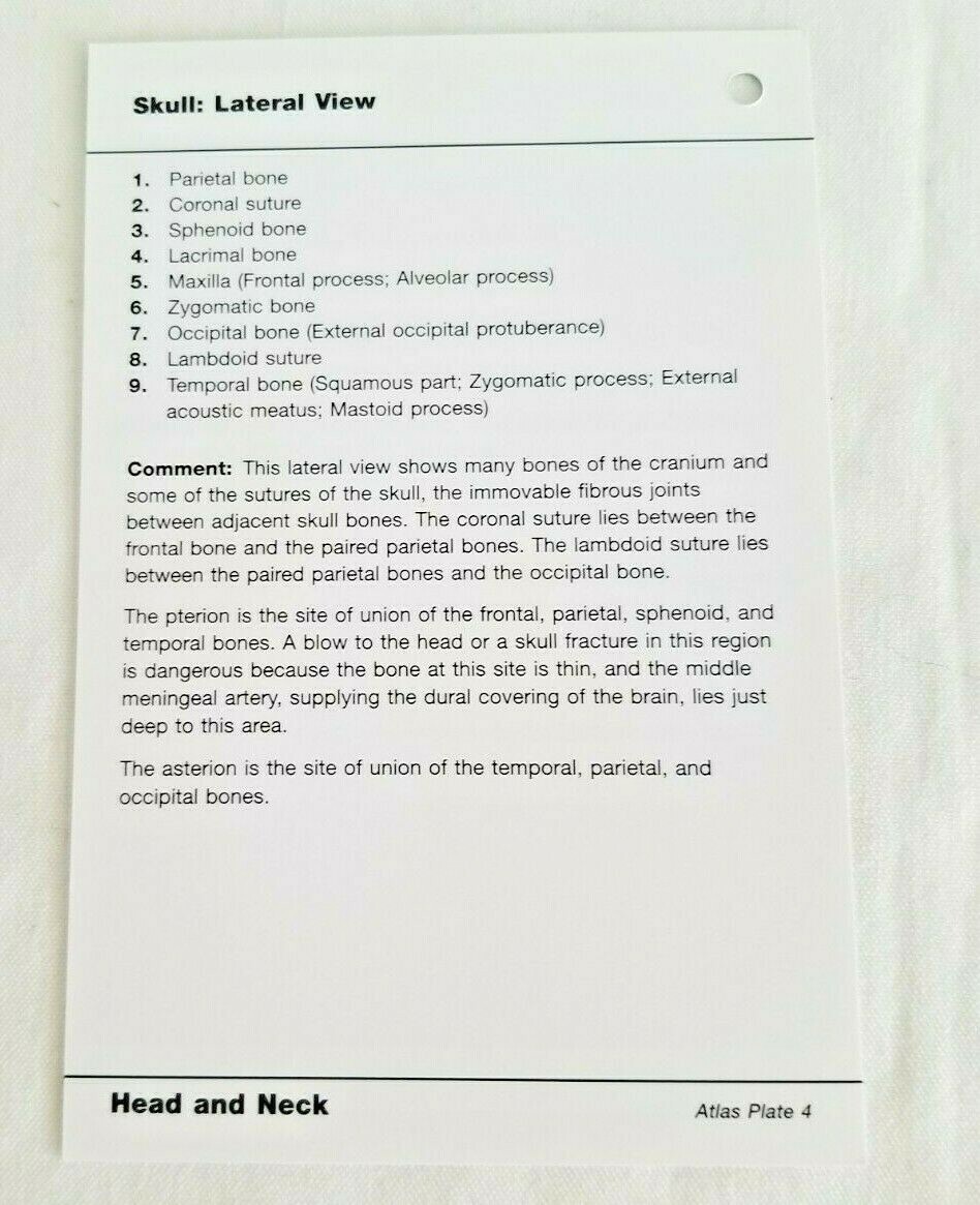 Netter’s Anatomy Flash Cards 2nd Edition Complete 324 Cards John T. Hansen
