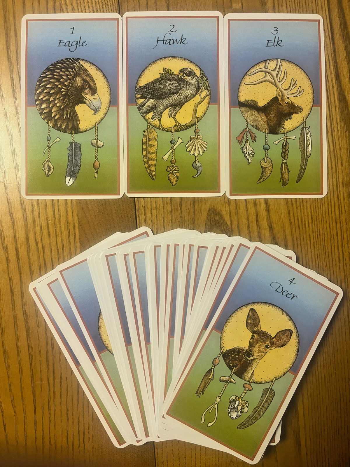 MEDICINE CARDS Book & 60 Card Deck by David Carson & Jamie Sams 1999 EUC