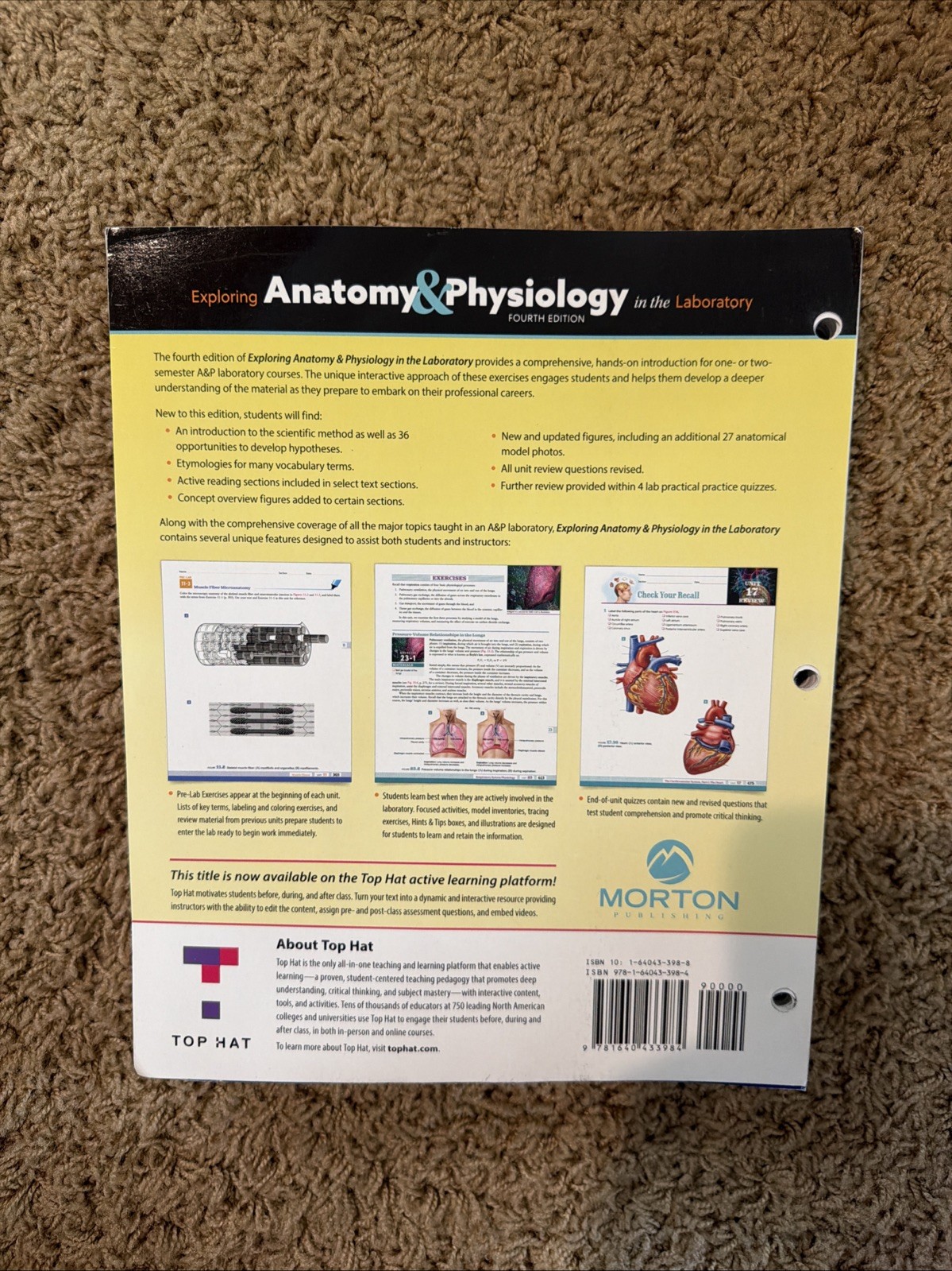 Exploring Anatomy & Physiology in the lab 4th Ed 9781640433984 Loose Leaf
