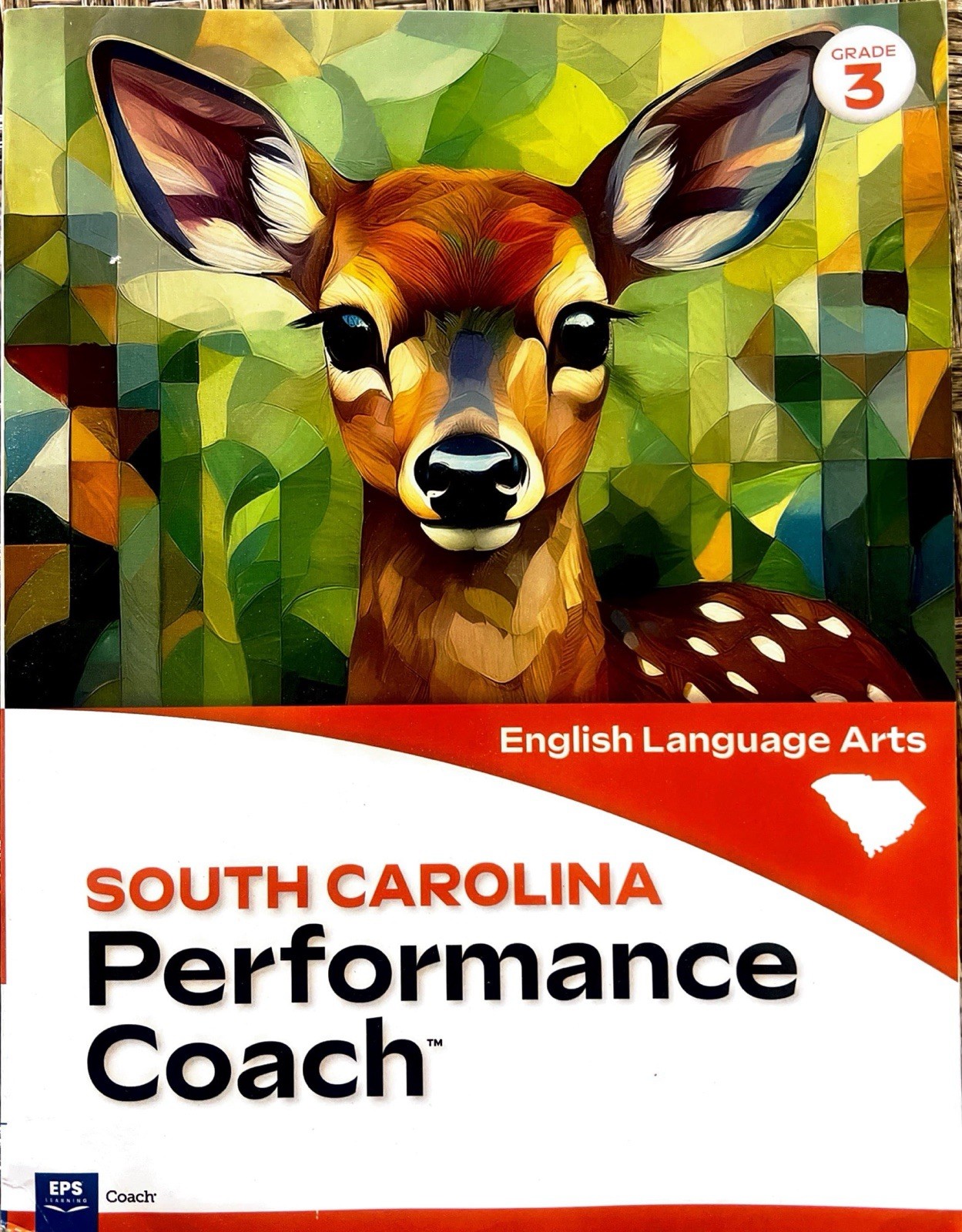 English Language Arts, Grade 3, South Carolina, Performance Coach ( 2024 )