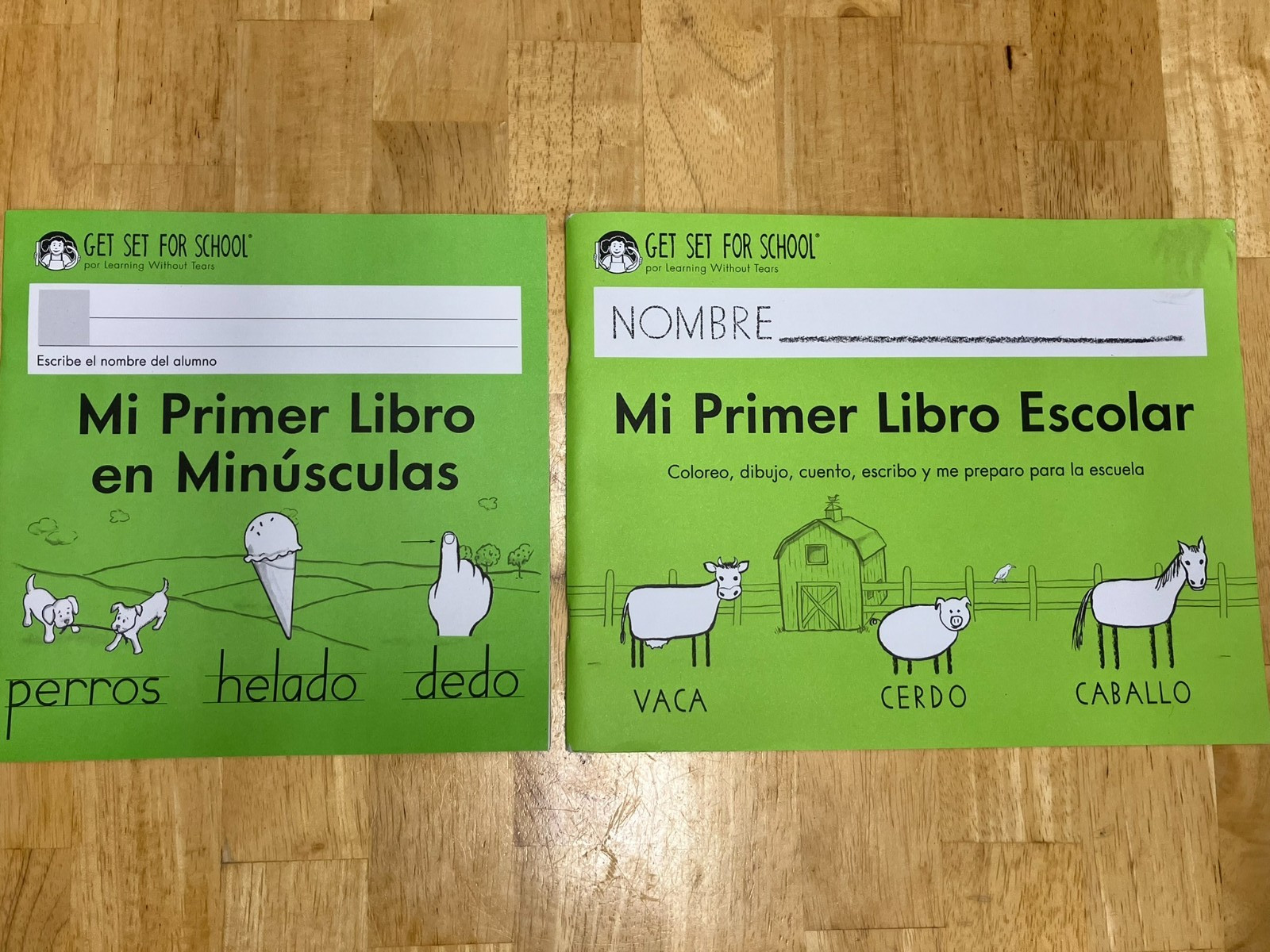 Handwriting Without Tears set of 2 – Mi Primer Libro Escolar y en Minusculas NEW