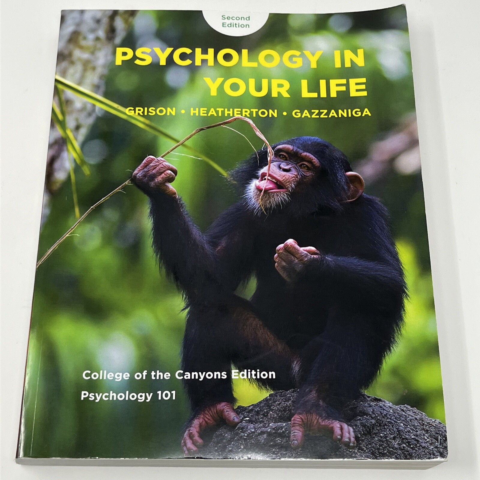 Psychology in Your Life Second Edition 2E – Grison, Heatherton, Gazzaniga – GOOD