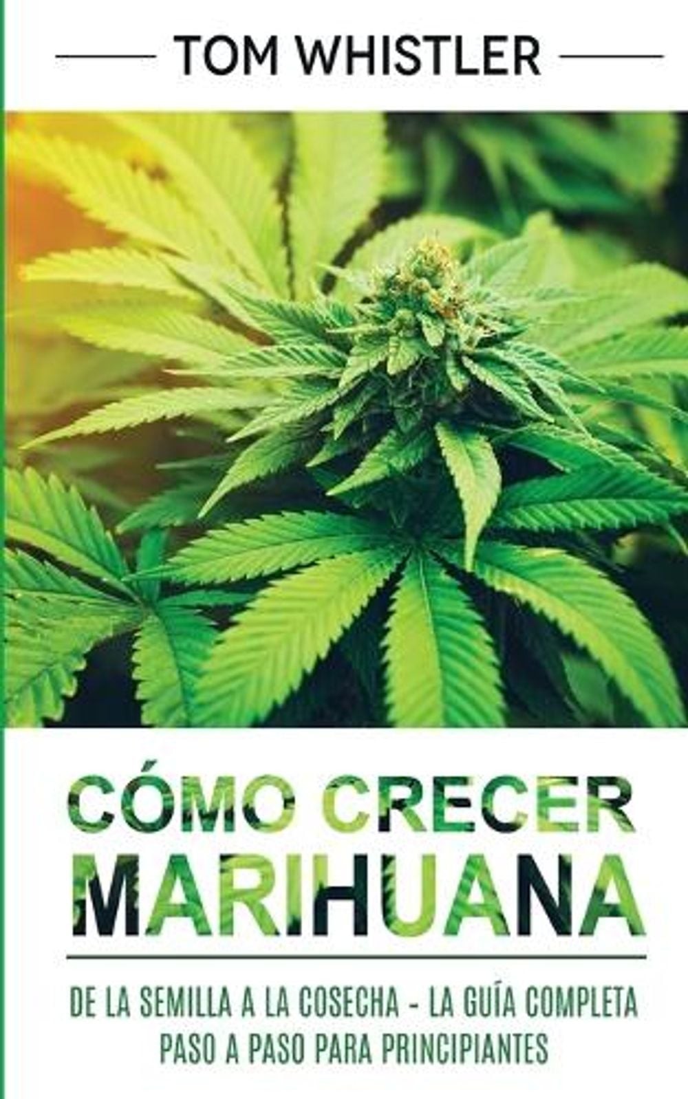 Cmo crecer marihuana: De la semilla a la cosecha – La gu?a completa paso a paso