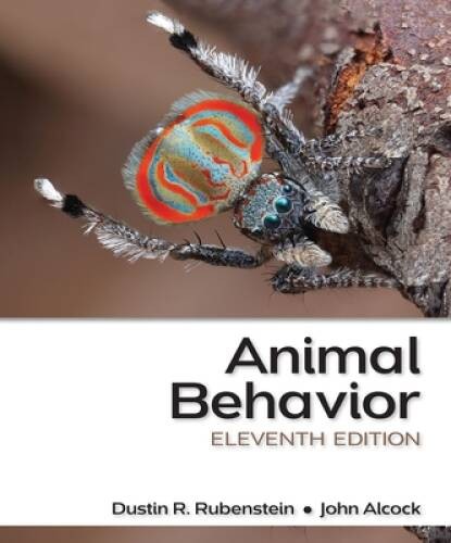 Animal Behavior – Paperback By Rubenstein, Dustin R. – ACCEPTABLE