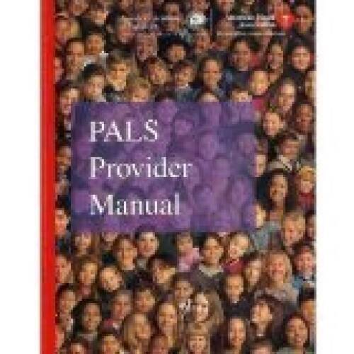 PALS Provider Manual – Paperback By Aha – VERY GOOD