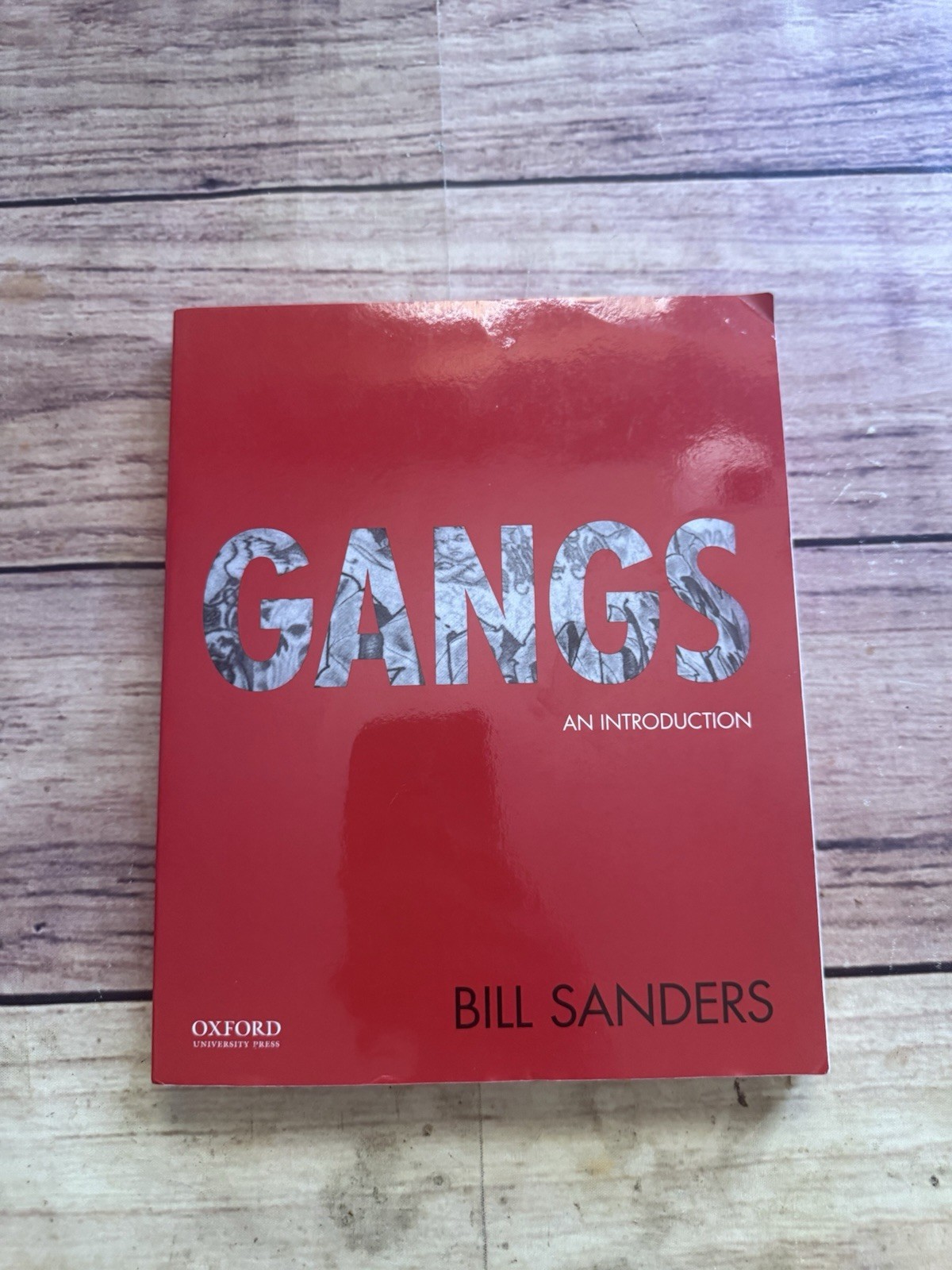 Gangs : An Introduction by Bill Sanders (2017, Trade Paperback)