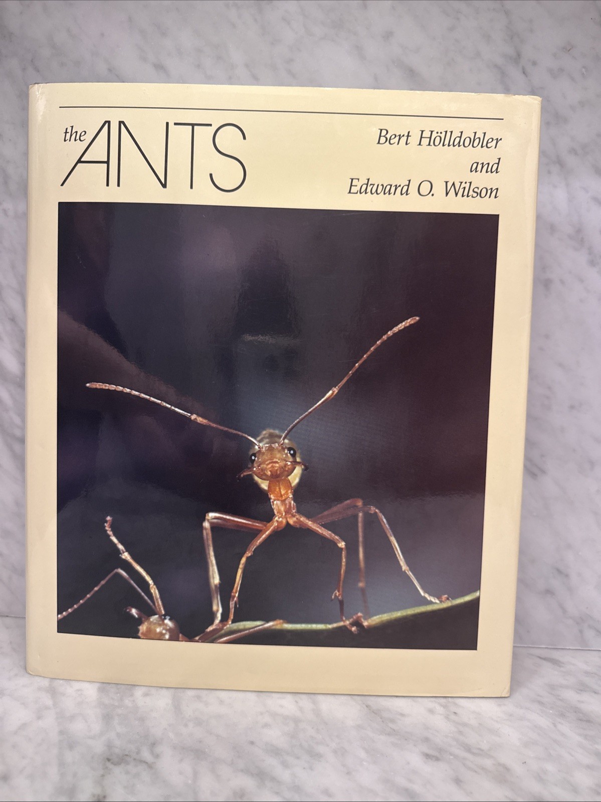 The Ants – Hölldobler & Wilson Hardcover 1990 1st Edition 1st Printing