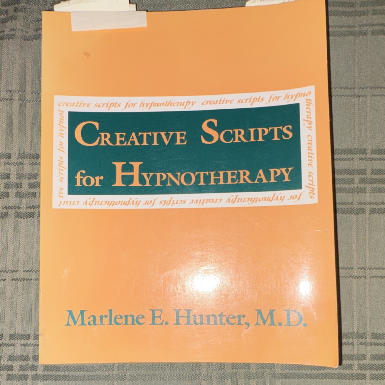 Creative Scripts for Hypnotherapy Hunter Brunner/Mazel 1994 PB Psychotherapy