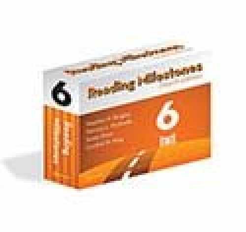 Reading Milestones, Level 6 – Paperback, by Quigley Stephen P.; – Very Good
