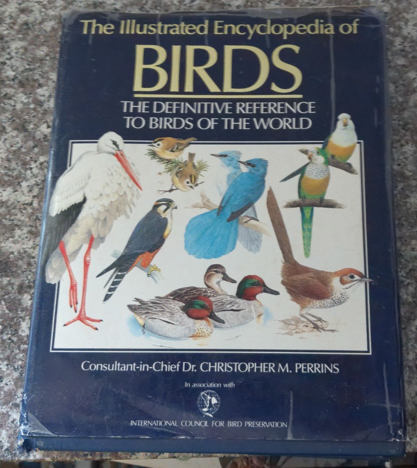 The Illustrated Encyclopedia Of Birds Coffee Table Book 1st Edition