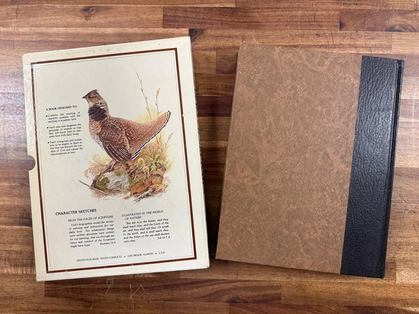 Character Sketches from the Pages of Scripture Vol 2 w Slipcase