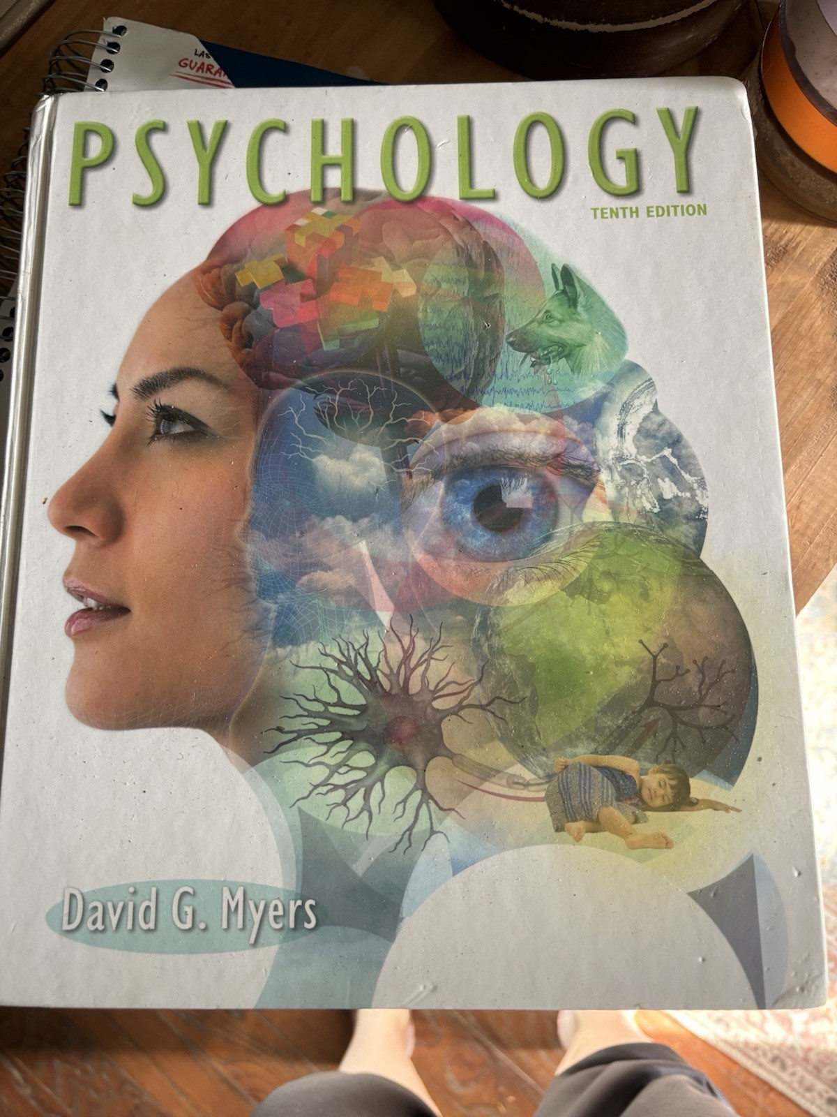 Psychology Textbook College 10th Ed. David G Myers 9781429261784 AP PSYCHOLOGY