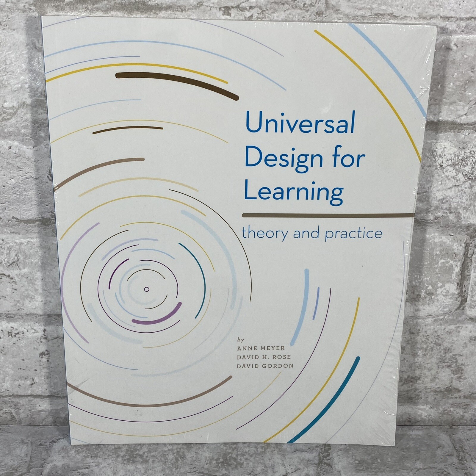 Universal Design for Learning: Theory and Practice 1st Edition Paperback Book