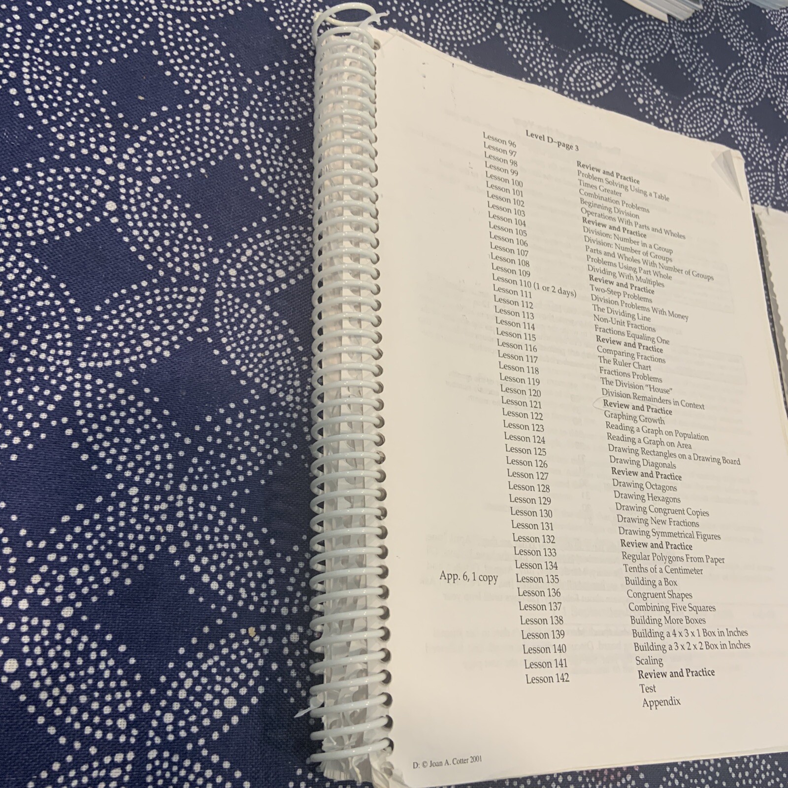 RightStart Mathematics : Level D for Home Educators by Joan A. Cotter (2001,…