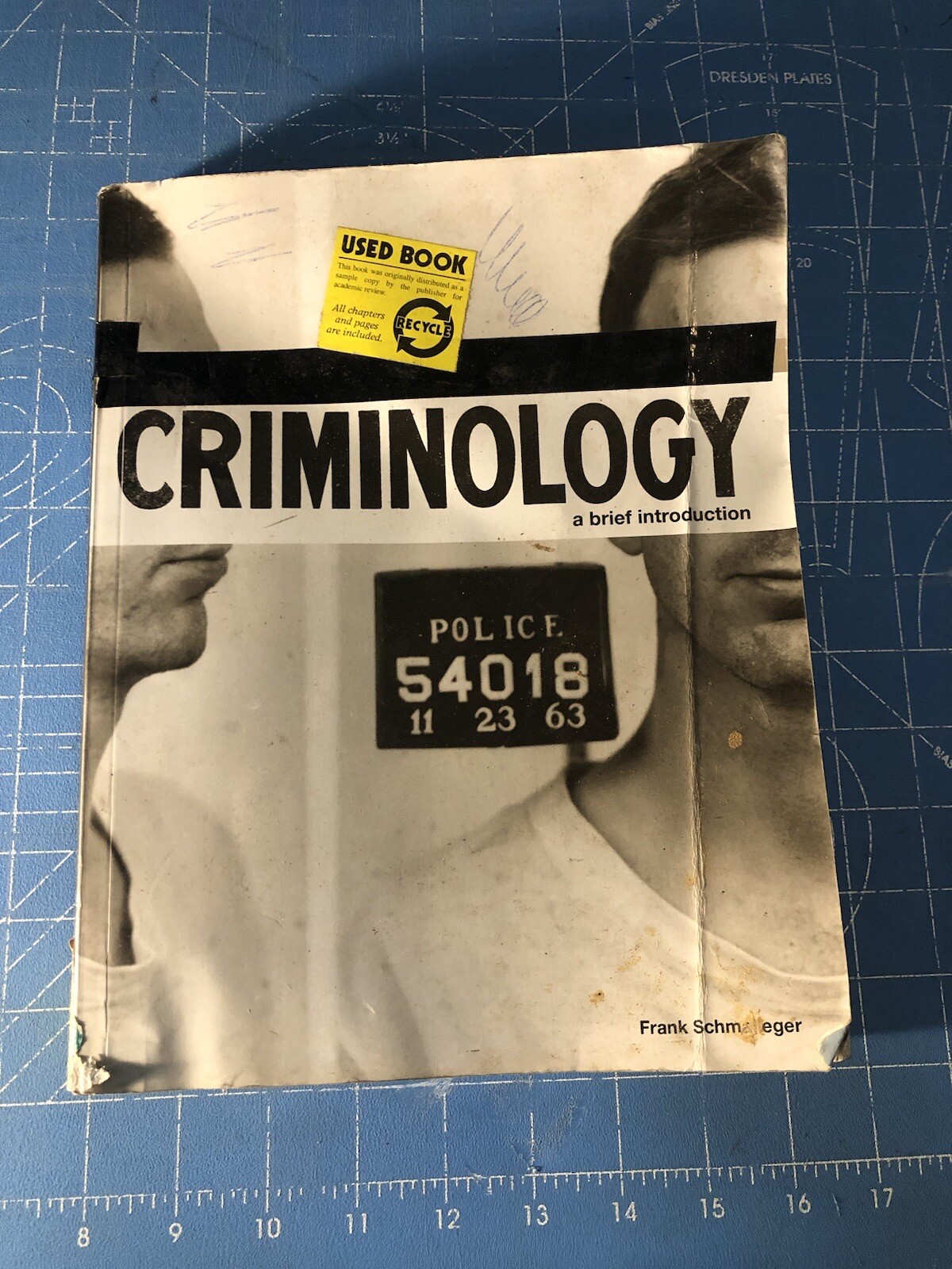 Criminology : A Brief Introduction by Frank J. Schmalleger, 2010, Instructor Ed.