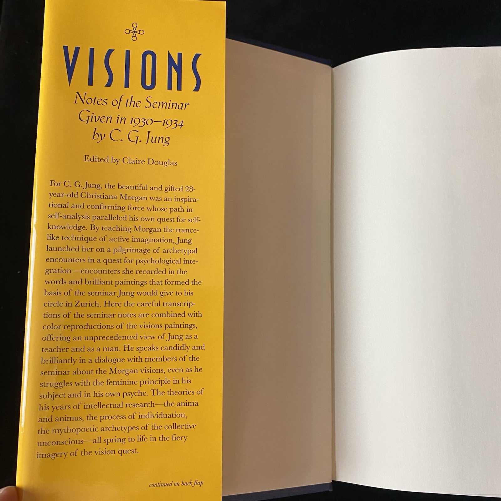 C.G. Jung Visions Notes of the Seminar 1930-1934 Vol. 2 ONLY Bollingen XCIX