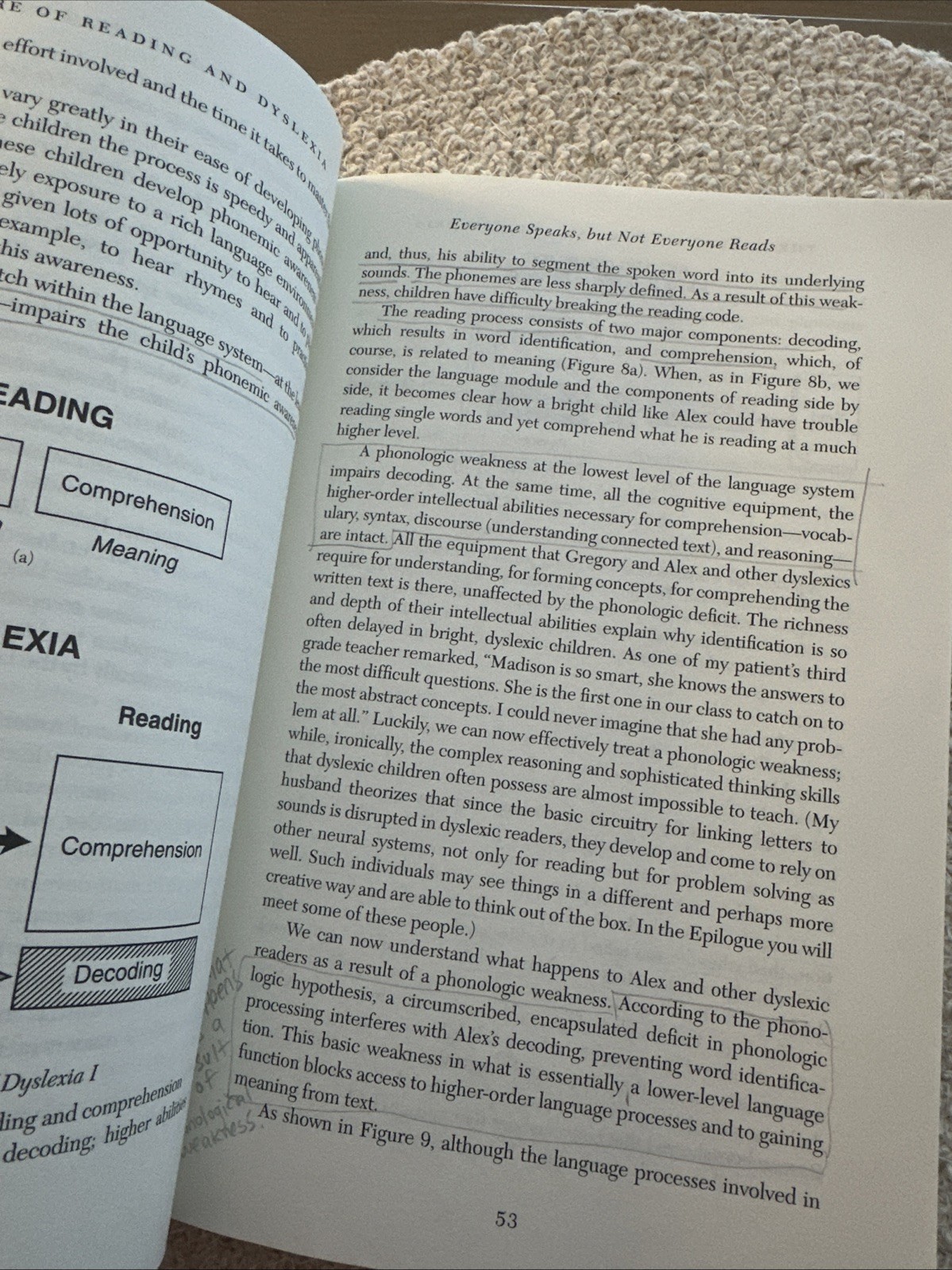 Overcoming Dyslexia (2020 Edition) : Second Edition, Completely Revised and…