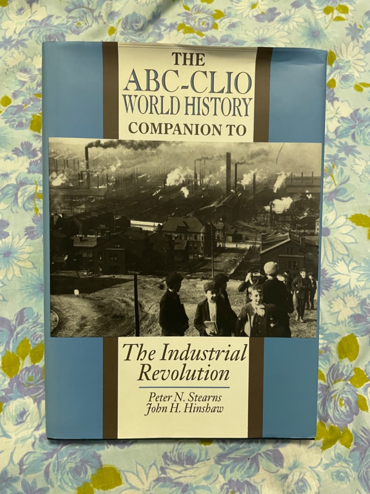 BOOK ABC CLIO World History Companion to Industrial Revolution Peter N Stearns