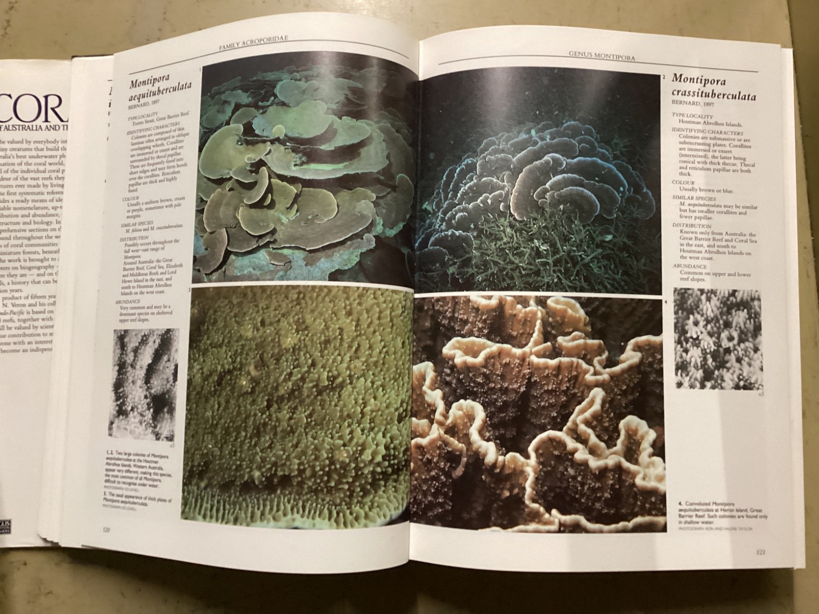 Corals of Australia and the Indo-Pacific by J.E.N. Veron 1986 HC DJ Angus