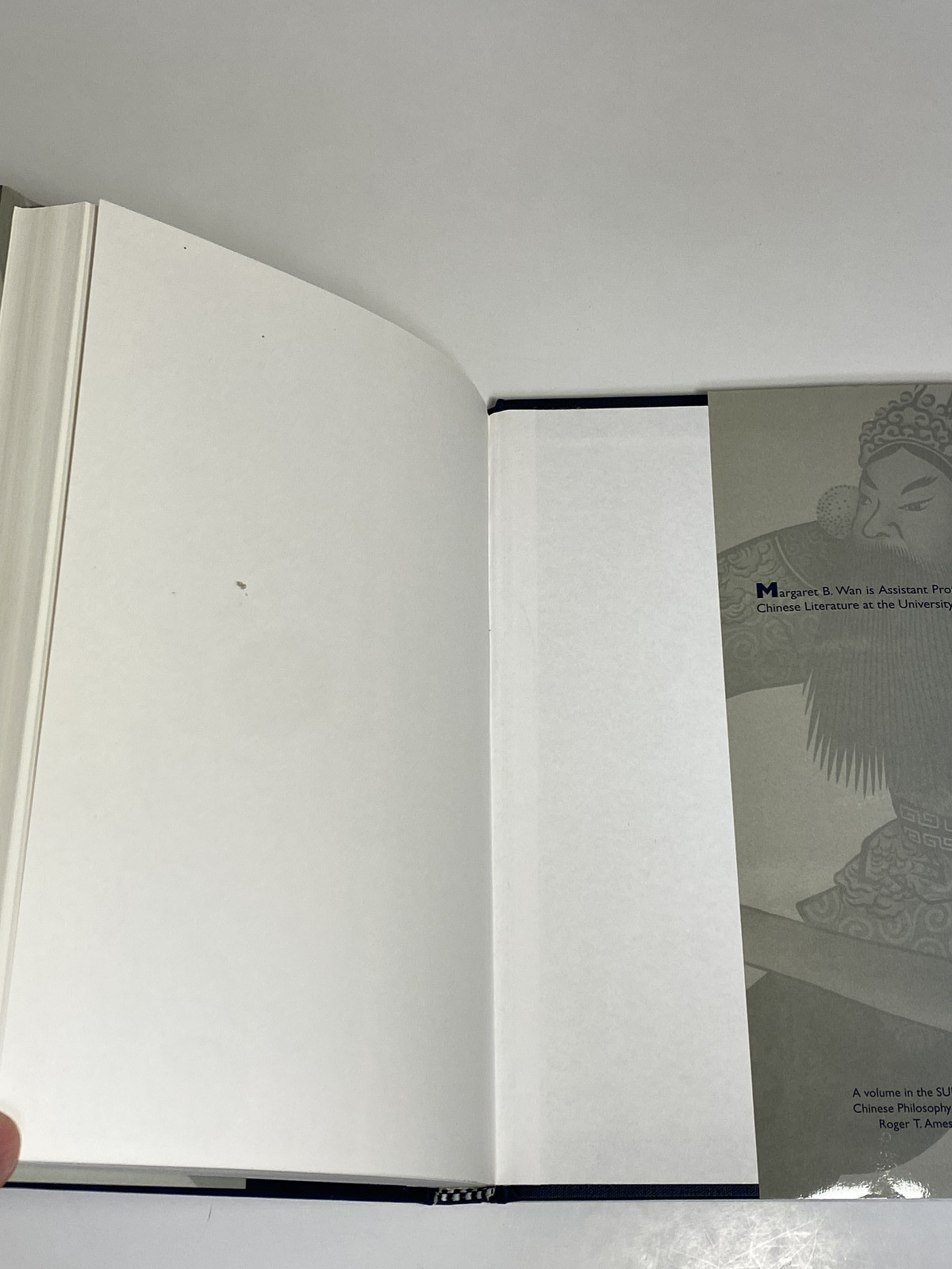 Green Peony And The Rise Of The Chinese Martial Arts Novel: Hardcover, M.B. Wan