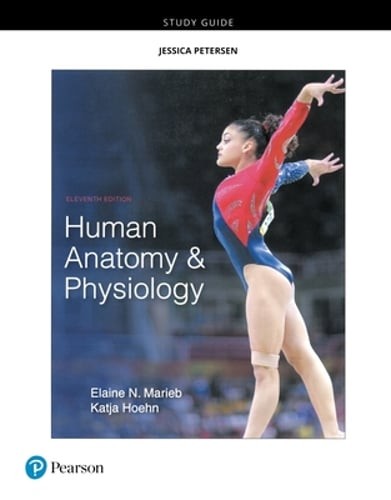 Study Guide for Human Anatomy & Physiology by Elaine Marieb: New