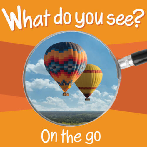 What Do You See: On the Go – Board book By Chosen Spot Publishing – GOOD