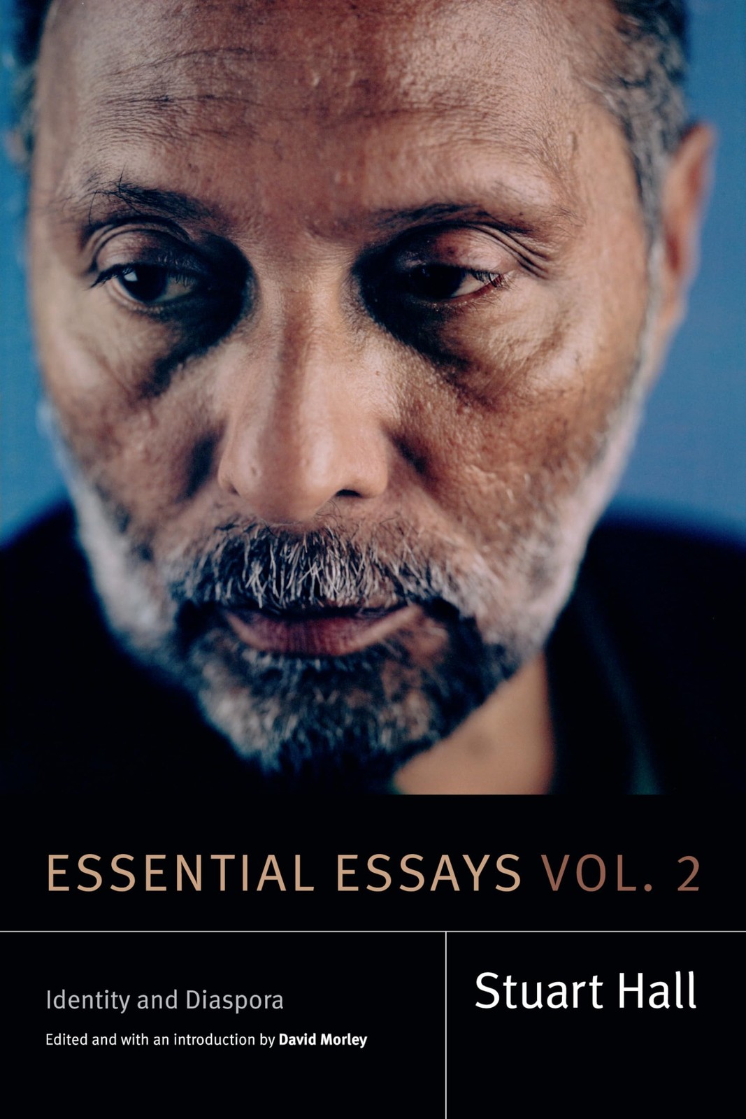 Essential Essays, Volume 2: Identity and Diaspora (Stuart Hall: Selected Wri…