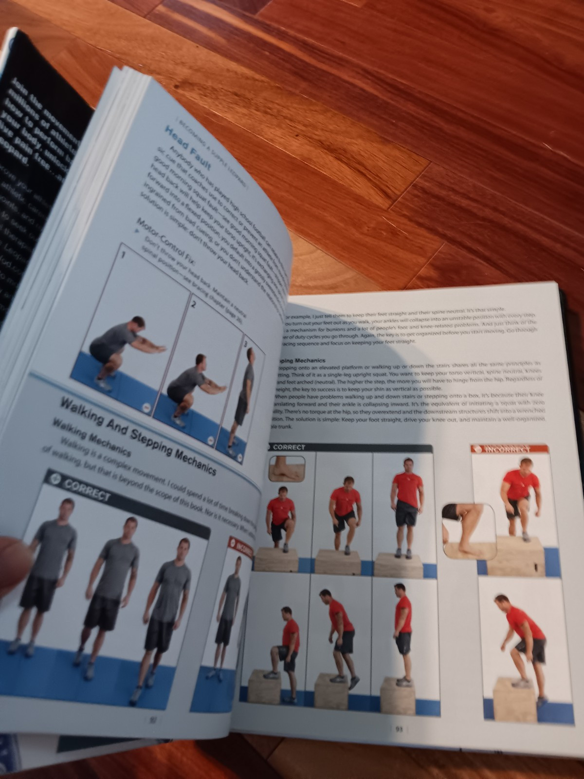 Becoming a Supple Leopard: The Ultimate Guide to Resolving Pain, Preventing