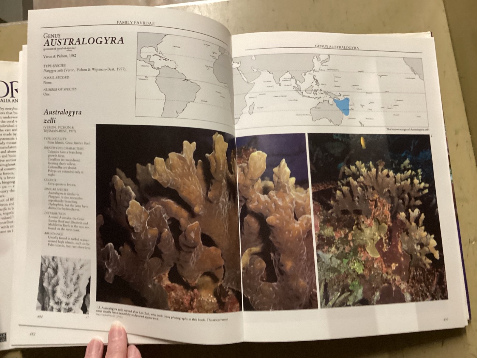 Corals of Australia and the Indo-Pacific by J.E.N. Veron 1986 HC DJ Angus