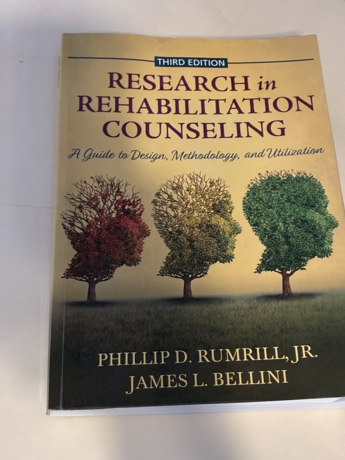 Research in Rehabilitation Counseling: A Guide to Design, Methodology, and U…
