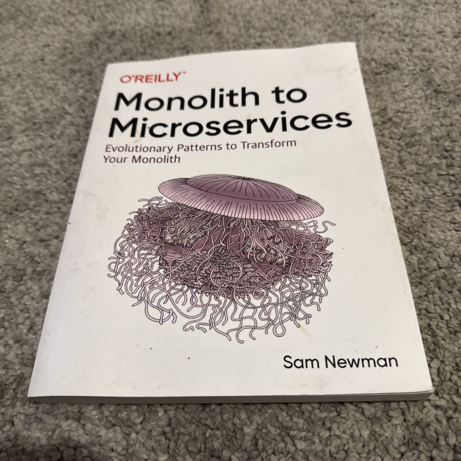 Monolith to Microservices : Evolutionary by Sam Newman (2019, Trade Paperback)