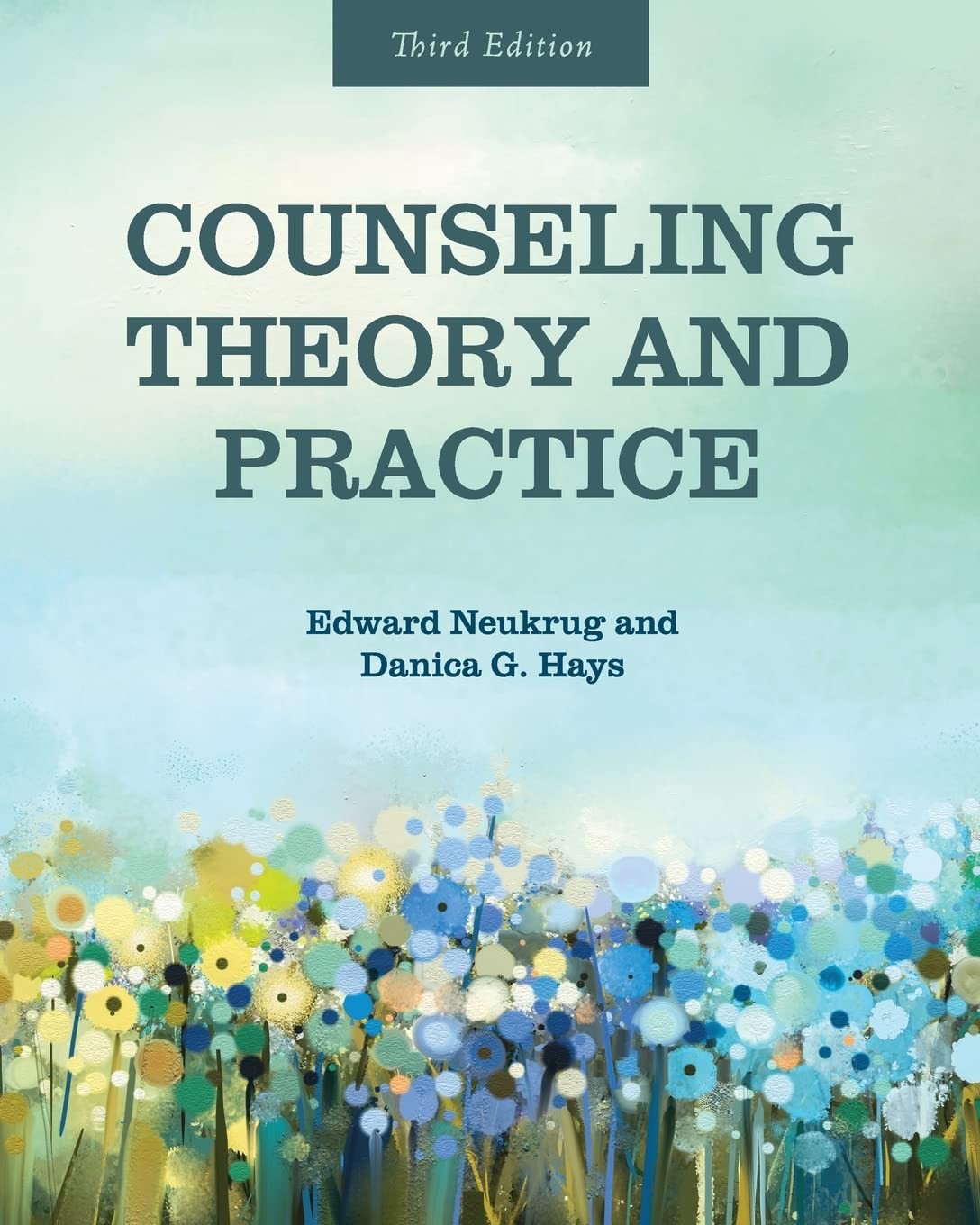 COUNSELING THEORY AND PRACTICE BY Danica G Hays PAPERBACK **VERY_GOOD**