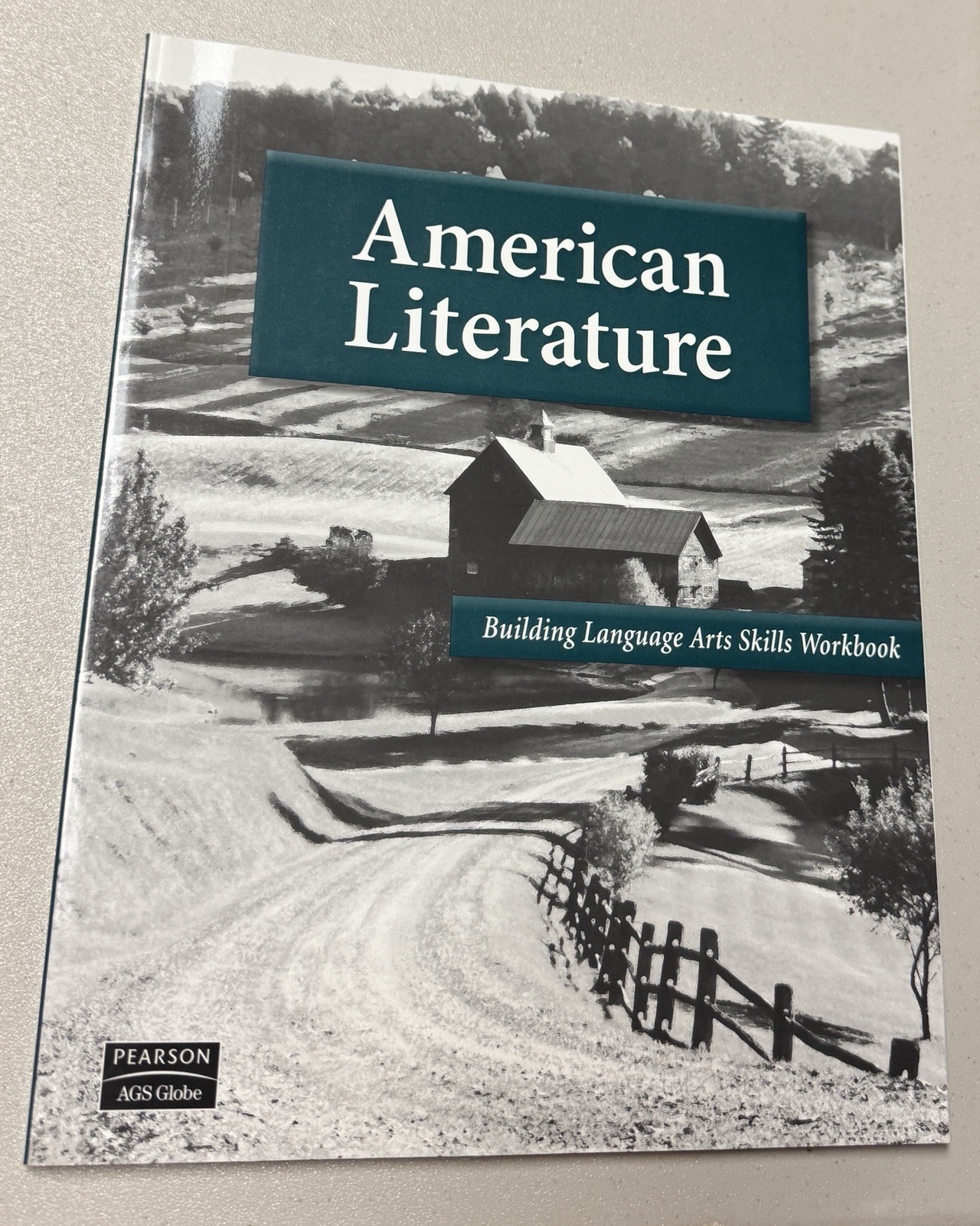 American Literature Skills Workbook by A. G. S. Secondary (2006, Trade…