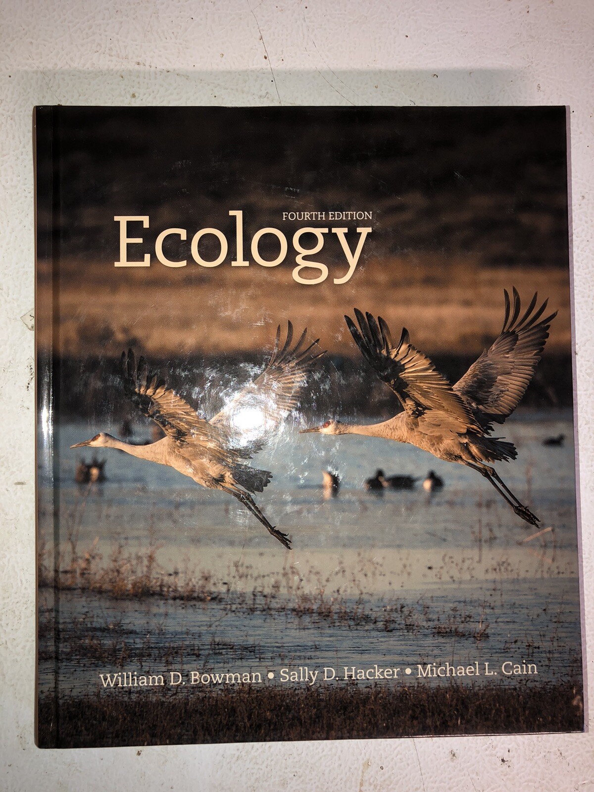 Ecology by Bowman, William D., Hacker, Sally D., Cain, Michael L.