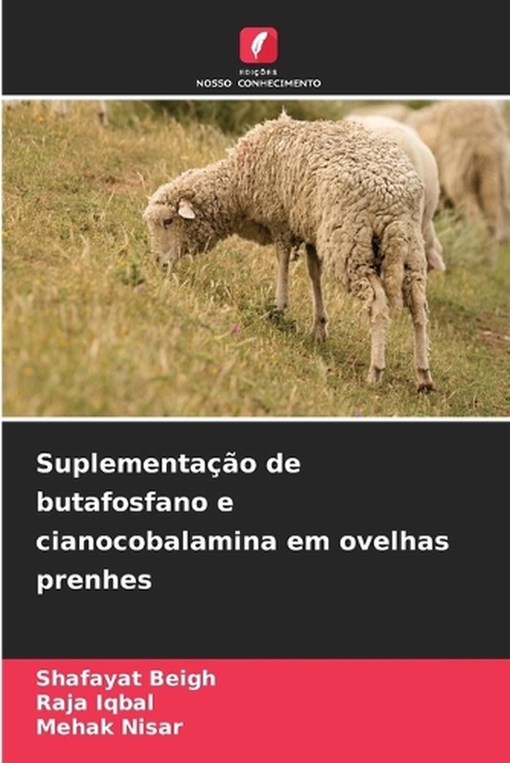 Suplementao de butafosfano e cianocobalamina em ovelhas prenhes by Shafayat Beig