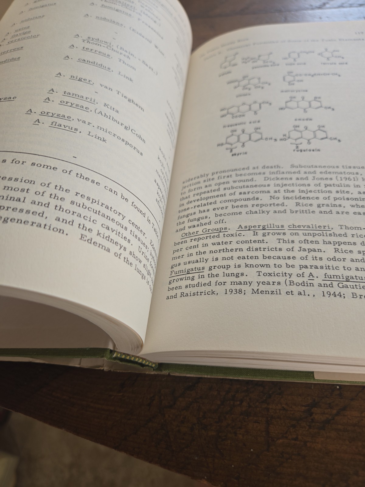 1965 Mycotoxins in Foodstuffs Edited By Gerald N. Wogan HC DJ
