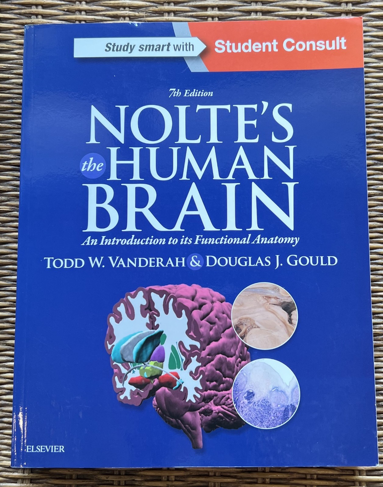 Nolte’s the Human Brain by Todd Vanderah & Douglas Gould, 7th Edition (2016)