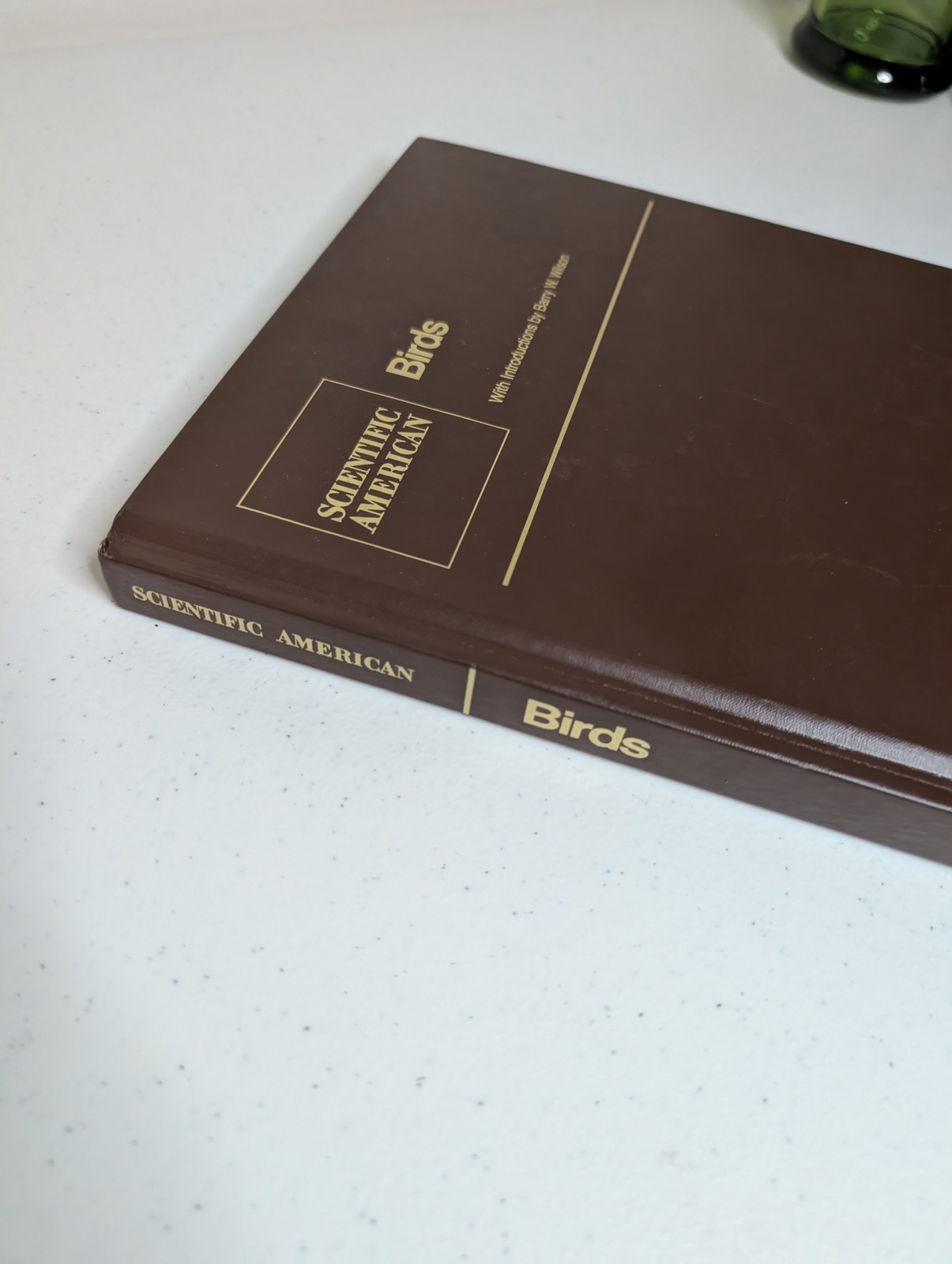 Scientific American Birds Barry W. Wilson Readings Hardcover 1979 Ornithology