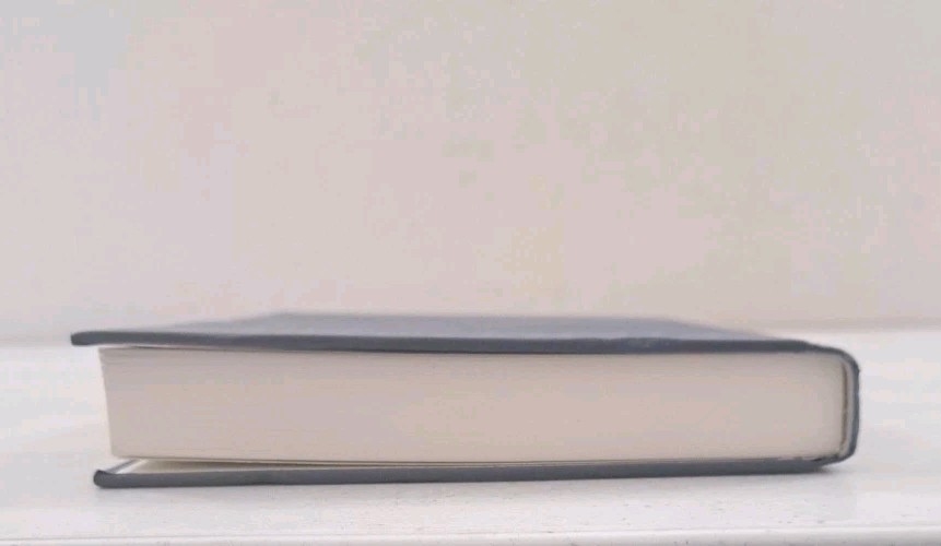 Columbia University Press Hardcover-What China & India Once Were-Sheldon Pollock