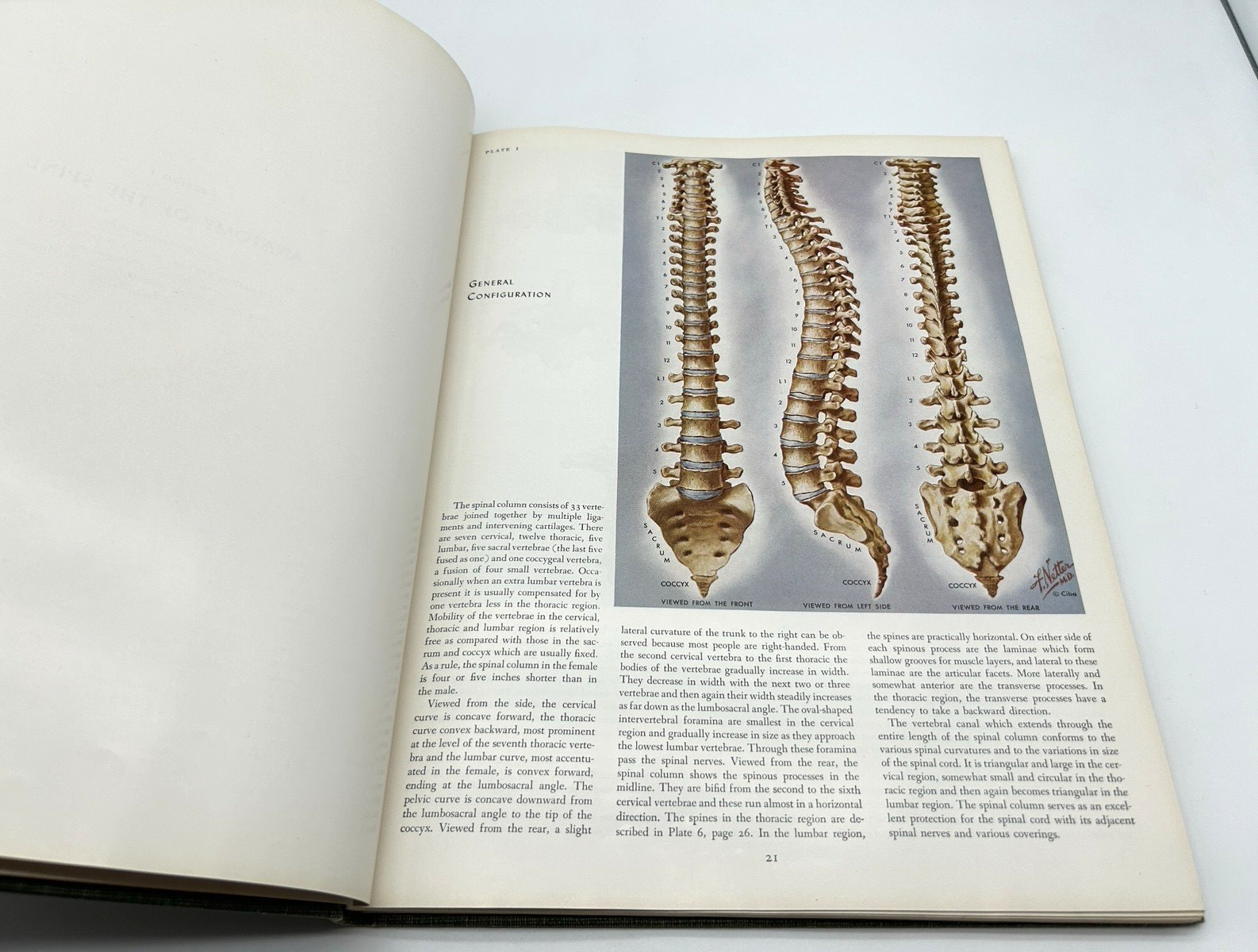 CIBA Collection Medical Illustrations, Nervous System Frank Netter 1957 1st Ed.