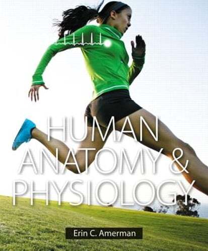Human Anatomy & Physiology by Erin C. Amerman: Used