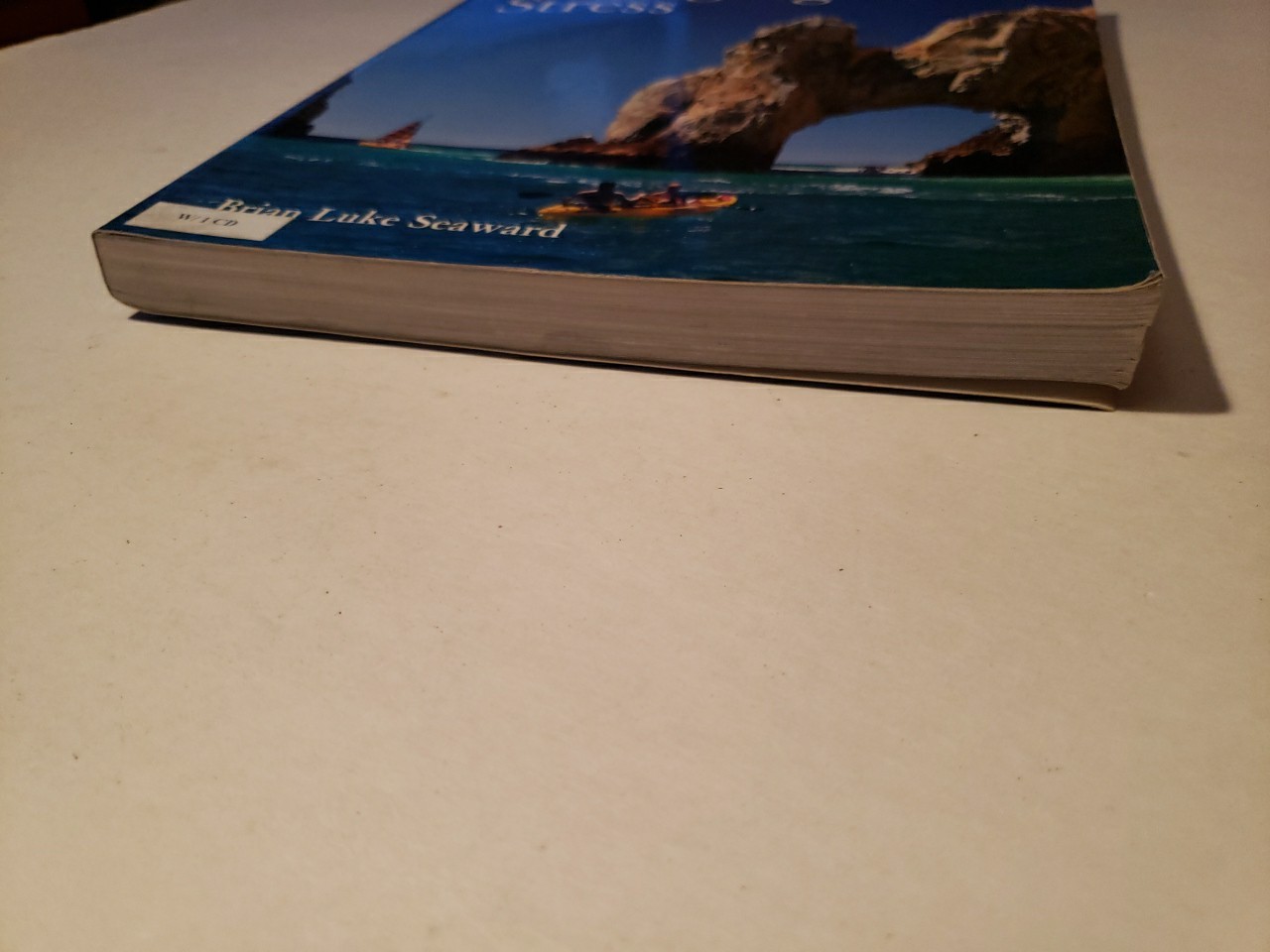 ESSENTIALS OF MANAGING STRESS By Brian Luke Seaward PB Book With Cd