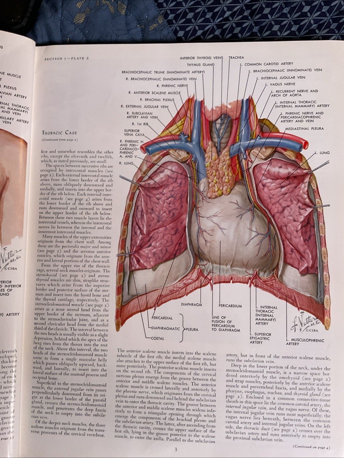 THE CIBA COLLECTION OF MEDICAL ILLUSTRATIONS – Volume 5 – Heart – Netter