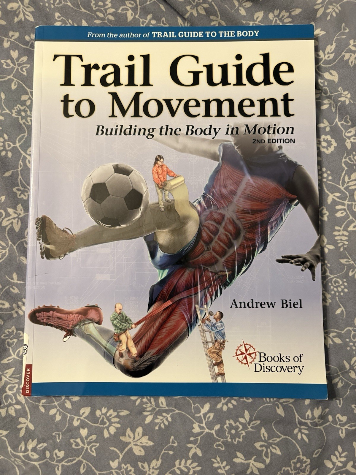 Trail Guide to Movement Building the Body in Motion 2nd edition