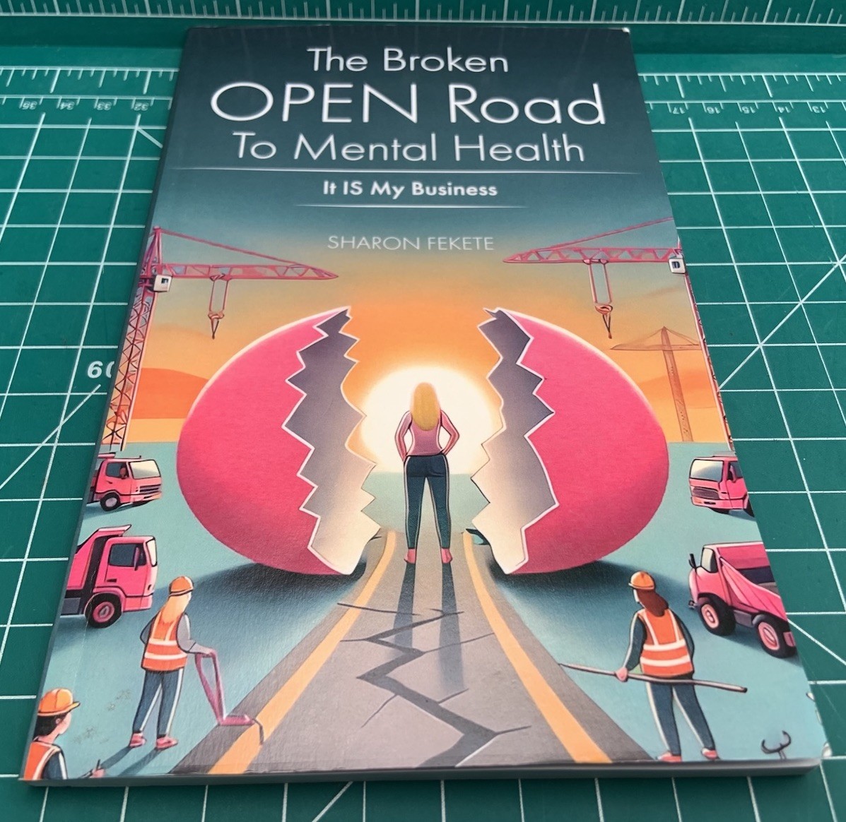 The Broken OPEN Road to Mental Health It IS My Business by Sharon Fekete Book