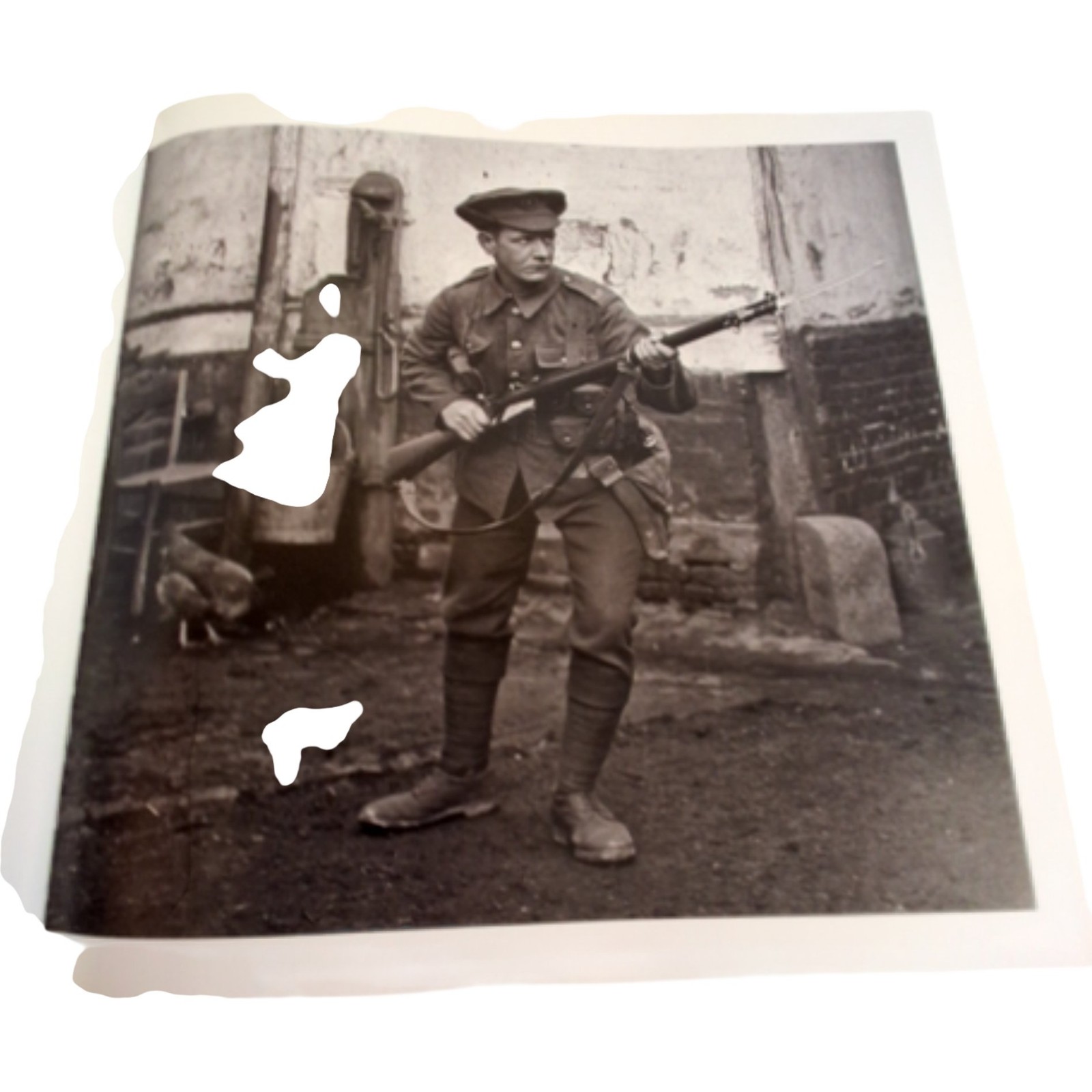 The Lost Tommies Ross Coulthart Hardcover Historical Photography